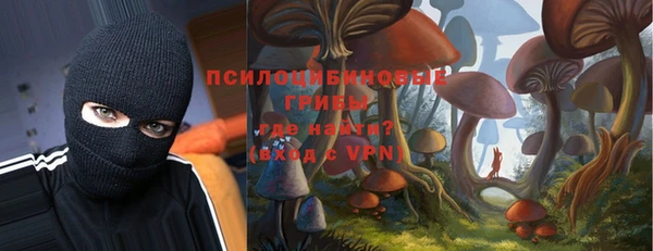эйфоретик Бронницы